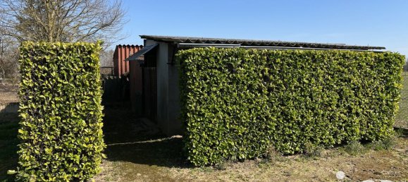 4 bedrooms House in Chassenard, France No. 201105 34