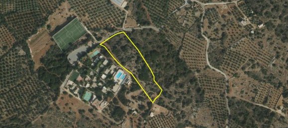 Отель, гостиница 9039м² в Ласитион, Крит, Греция № 2131 5