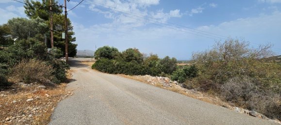 Hotel in Lasithi, Greece 9039m², Nr. 2131 4