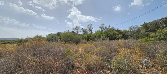 Hotel in Lasithi, Greece 9039m², Nr. 2131 3