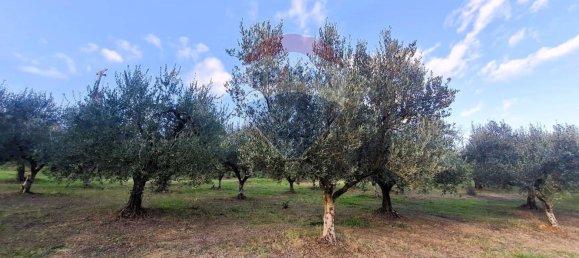 3005m² Land in Francavilla al Mare, Italy No. 41115 6