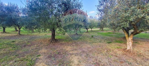 3005m² Land in Francavilla al Mare, Italy No. 41115 2