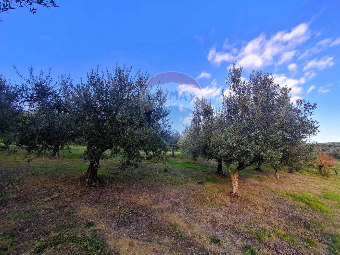 3005m² Land in Francavilla al Mare, Italy No. 41115