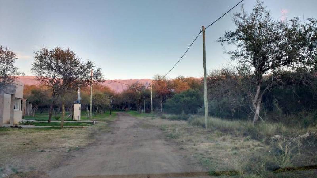  Land in San Luis, Argentina No. 41066