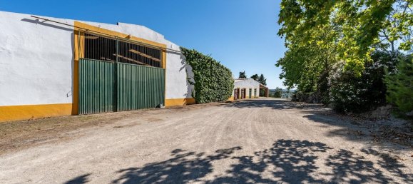 12 bedrooms House in Setubal, Portugal No. 143952 44