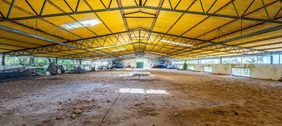 12 bedrooms House in Setubal, Portugal No. 143952 45