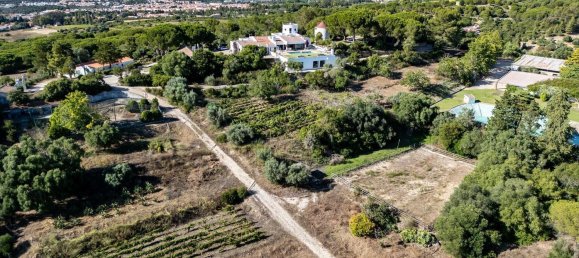 12 bedrooms House in Setubal, Portugal No. 143952 2