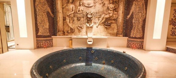 Villa 8+12 in Istanbul, Turkey No. 10739 13