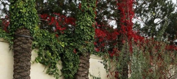 Villa 8+12 in Istanbul, Turkey No. 10739 8