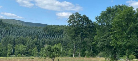 28 rooms Farm in Olpe, Germany No. 187711 18