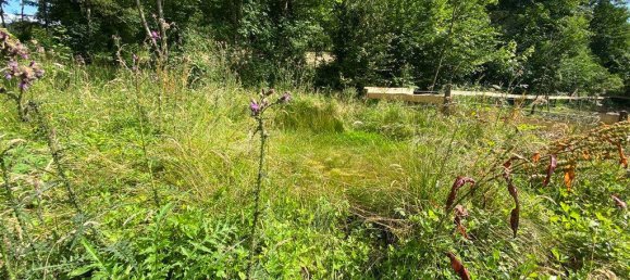 28 rooms Farm in Olpe, Germany No. 187711 14