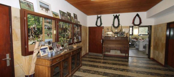 28 rooms Farm in Olpe, Germany No. 187711 23