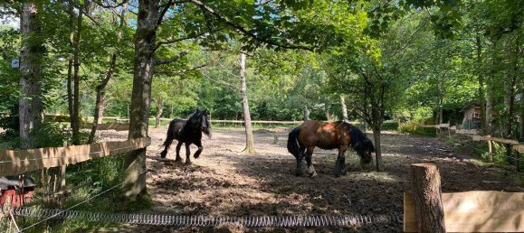 28 rooms Farm in Olpe, Germany No. 187711 17