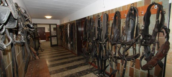 28 rooms Farm in Olpe, Germany No. 187711 22