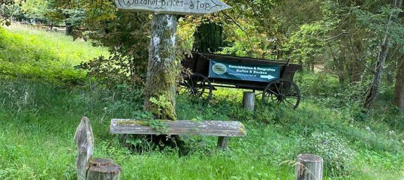 28 rooms Farm in Olpe, Germany No. 187711 10