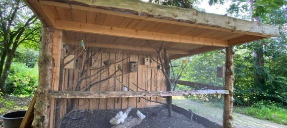 28 rooms Farm in Olpe, Germany No. 187711 12