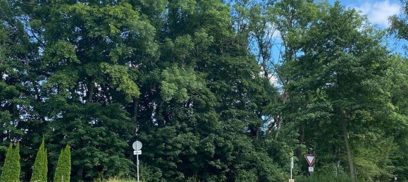 28 rooms Farm in Olpe, Germany No. 187711 7