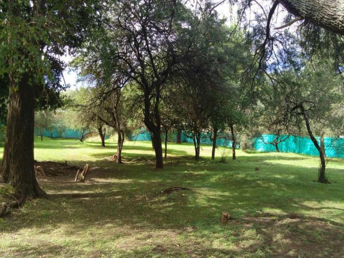  Land in Cordoba, Argentina No. 46838