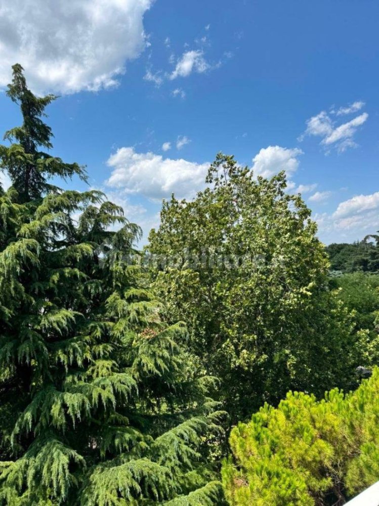 3 bedrooms Penthouse in Padua, Italy No. 359132