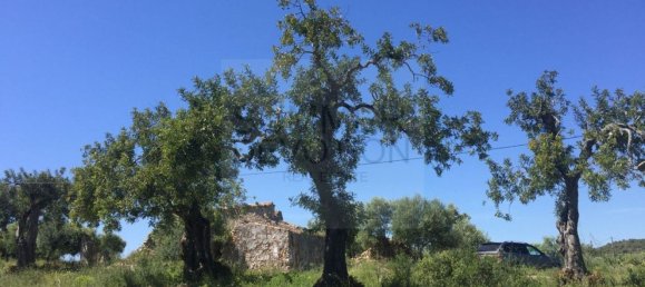 15000m² Land in Santa Catarina da Fonte do Bispo, Portugal No. 68743 17