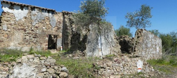 15000m² Land in Santa Catarina da Fonte do Bispo, Portugal No. 68743 12