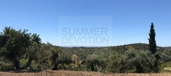 15000m² Land in Santa Catarina da Fonte do Bispo, Portugal No. 68743 14