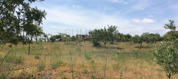 15000m² Land in Santa Catarina da Fonte do Bispo, Portugal No. 68743 15