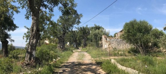 15000m² Land in Santa Catarina da Fonte do Bispo, Portugal No. 68743 10