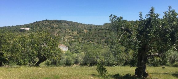 15000m² Land in Santa Catarina da Fonte do Bispo, Portugal No. 68743 13