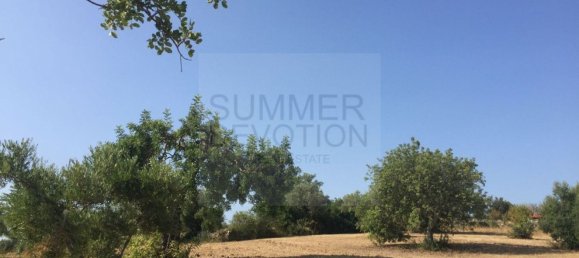 15000m² Land in Santa Catarina da Fonte do Bispo, Portugal No. 68743 16