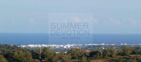 15000m² Land in Santa Catarina da Fonte do Bispo, Portugal No. 68743 8