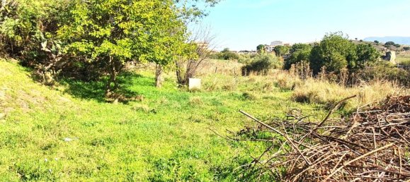 1228m² Land in Godrano, Italy No. 163749 6