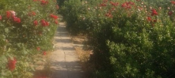 Maison à Khazar, Azerbaijan 300m² No. 229 9