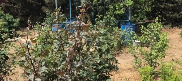 Maison à Khazar, Azerbaijan 300m² No. 229 2