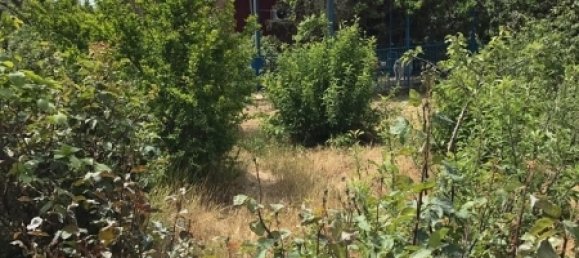 Maison à Khazar, Azerbaijan 300m² No. 229 20