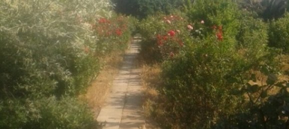 Maison à Khazar, Azerbaijan 300m² No. 229 8