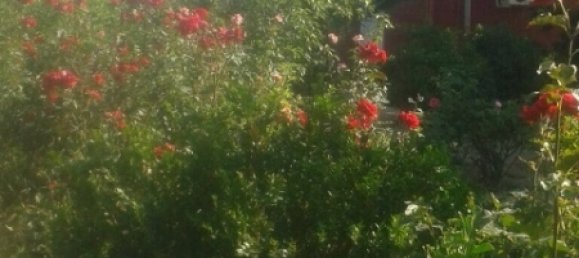 Maison à Khazar, Azerbaijan 300m² No. 229 18