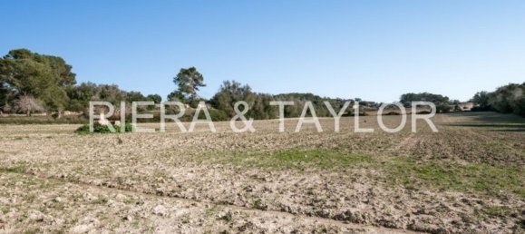 Grundstück in Mallorca, Spain 14226m², Nr. 148326 5