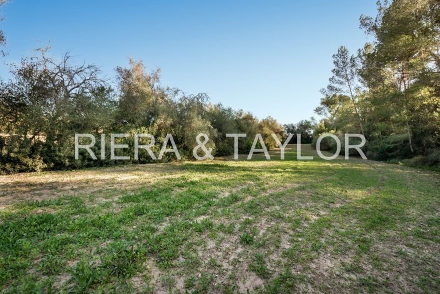 Grundstück in Mallorca, Spain 14226m², Nr. 148326