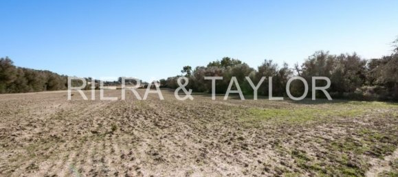 Grundstück in Mallorca, Spain 14226m², Nr. 148326 6