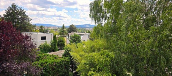 4 rooms House in Hietzing, Austria No. 150244 7