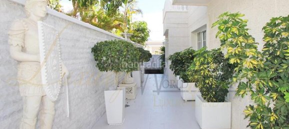 6 bedrooms Villa in Adeje, Spain No. 115928 10