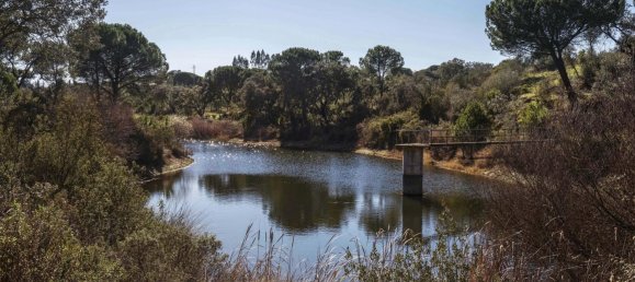 6 Schlafzimmer Schlösser in Alcacer do Sal, Portugal, Nr. 95799 2