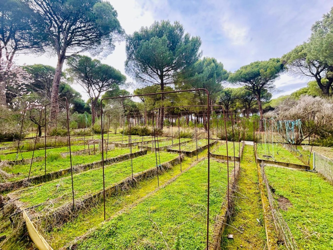  Land in Laguna de Duero, Spain No. 244873