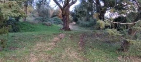 Земельный участок 800000м² в Роккастрада, Италия № 115187 9