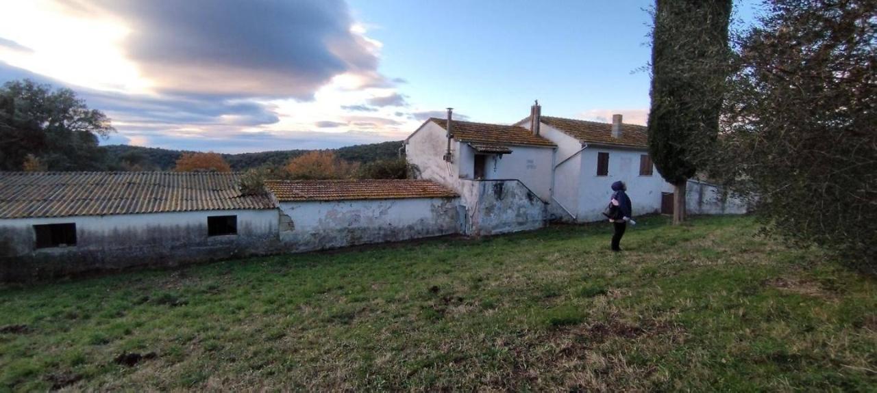 Земельный участок 800000м² в Роккастрада, Италия № 115187