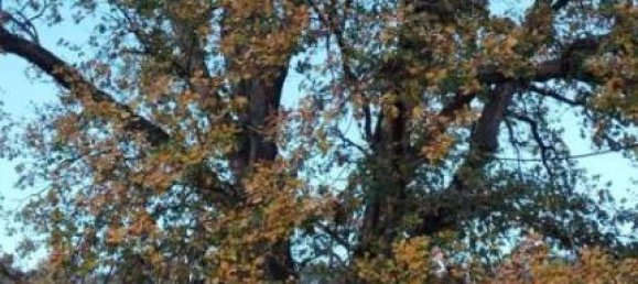 Земельный участок 800000м² в Роккастрада, Италия № 115187 13