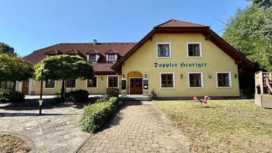 12 bedrooms House in Sierndorf, Austria No. 243457