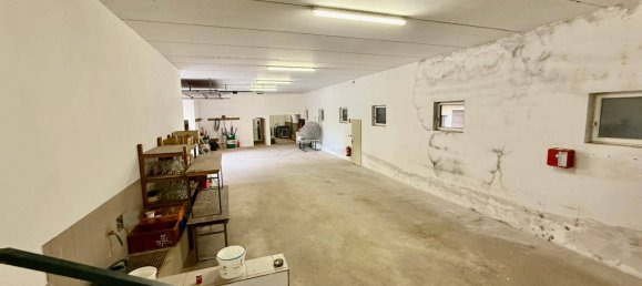 12 bedrooms House in Sierndorf, Austria No. 243457 8