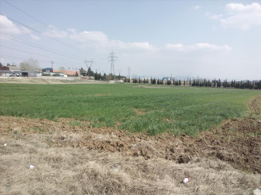 15000m² Hotel in Thessaloniki, Greece No. 6323